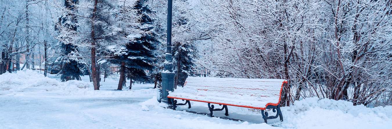 winter park bench