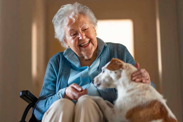 senior woman in wheelchair with dog