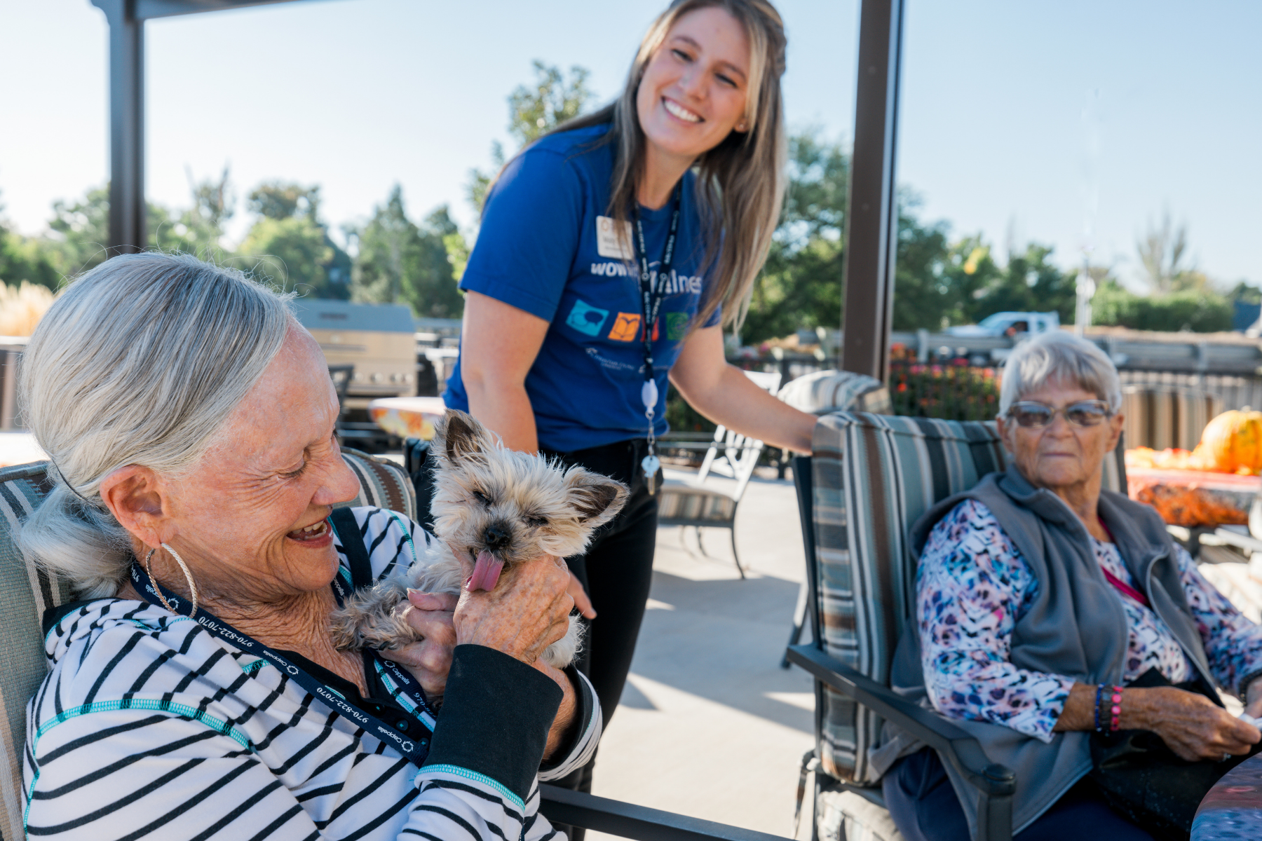 resident with pet sitting outside on pergola landscape