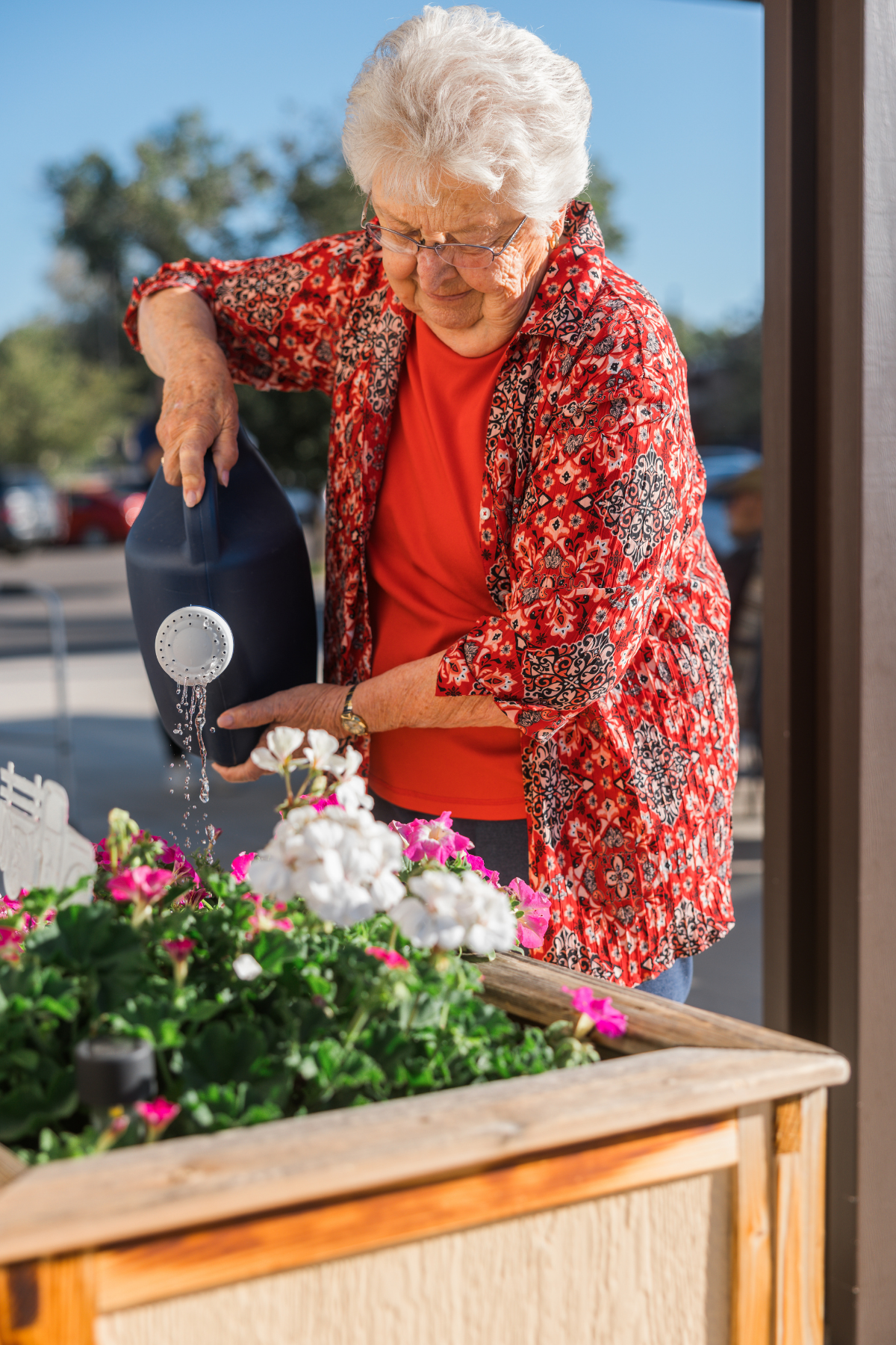 resident watering plants on the pergola 2 portrait