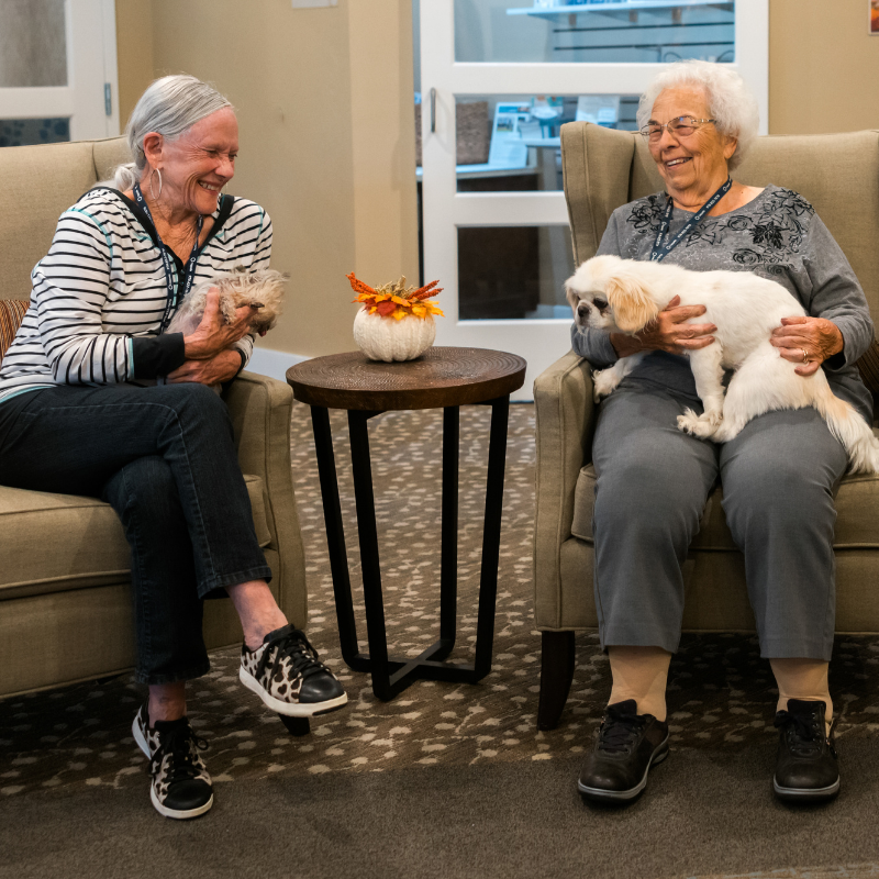 residents enjoying the company of pets square