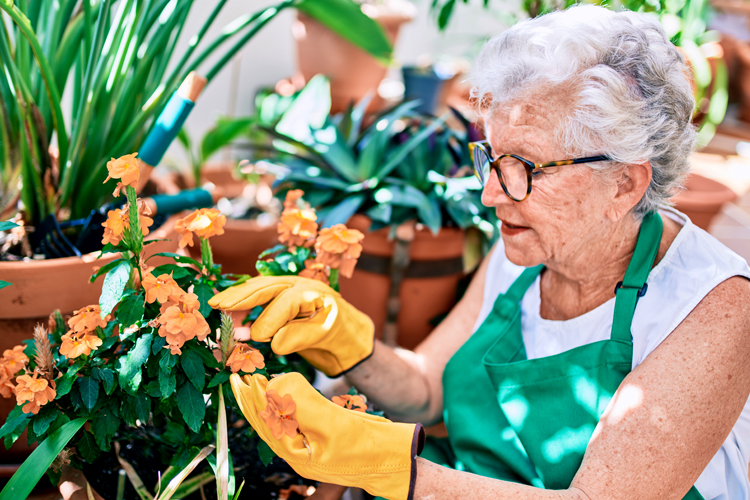 cgj what to expect with ms 3