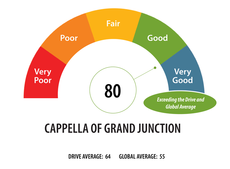 wbc gauge image for blog cgj 768x566