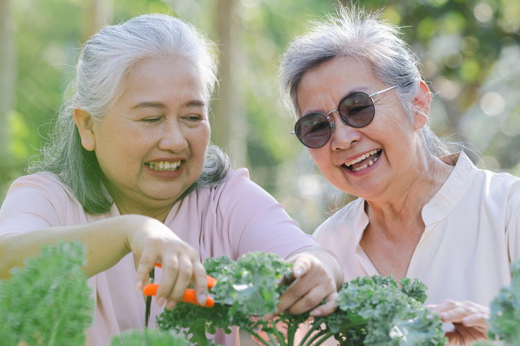 cappella of grand junction two senior woman gardening